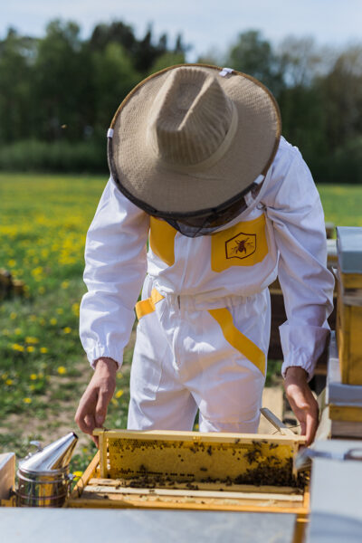 Beekeeper set "Zelta vidusceļš"